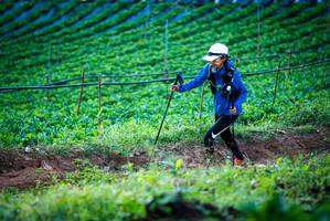 BIB: 
                            <button type="button" onclick="openModal(19160108)" class="btn btn-primary btn-sm float-right btn-popup" data-toggle="modal" data-target=".modal-high-quality">
                        <i class="fas fa-shopping-cart"></i> Add to Cart
                    </button>
                                            <button type="button" onclick="isThisMe(19160108, true)" class="btn btn-success btn-sm float-right btn-popup btn-isme hidden" data-toggle="tooltip" data-placement="bottom" title="นี่คือรูปของคุณใช่ไหม คลิกที่นี่เพื่อเอาเข้าอัลบั้ม">
                        <i class="fas fa-plus"></i> Add to album
                    </button>
                    <button type="button" onclick="isThisMe(19160108, false)" class="btn btn-warning btn-sm float-right btn-popup btn-isnotme hidden">
                        <i class="fas fa-ban"></i> Remove from album
                    </button>